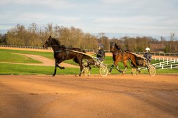 Grosbois-estate,-Drivers,-French-Trotters,-Grosbois,-Harness-racing,-Horse,-Horses,-Kaleidos,-Kaleidos-images,-La-parole-à-limage,-Marolles-en-Brie,-Sulkies,-Sulky,-Tarek-Charara,-Trotters